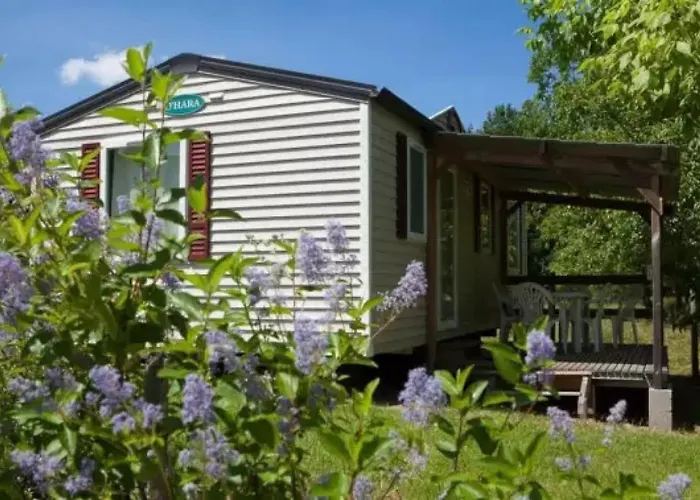 ZEcamping 4 familial pataugeoire pet friendly animé *