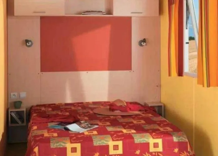 ZEcamping 4 familial pataugeoire pet friendly animé