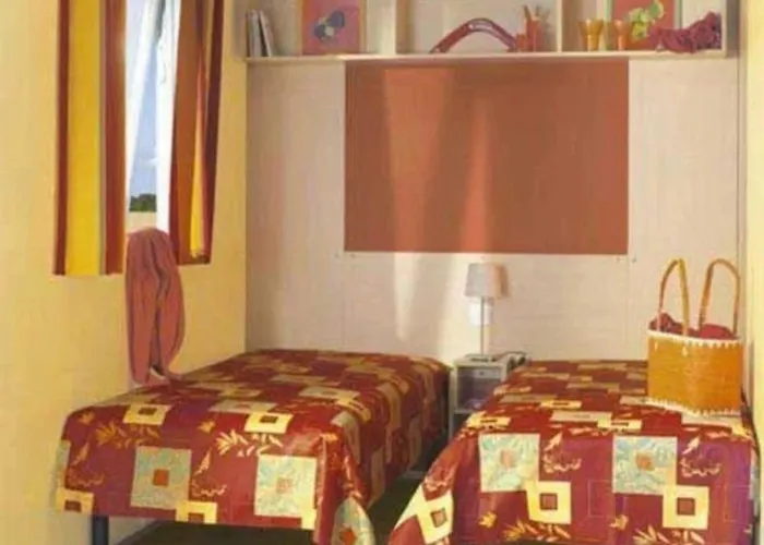 ZEcamping 4 familial pataugeoire pet friendly animé